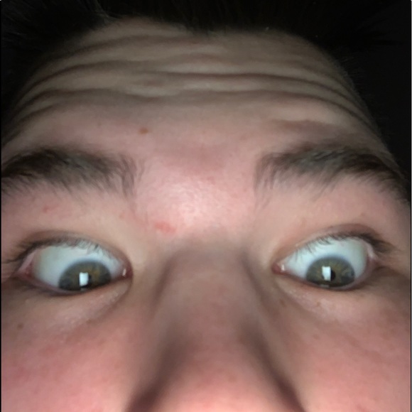 Meet your Posher, Logan - Picture 1 of 1